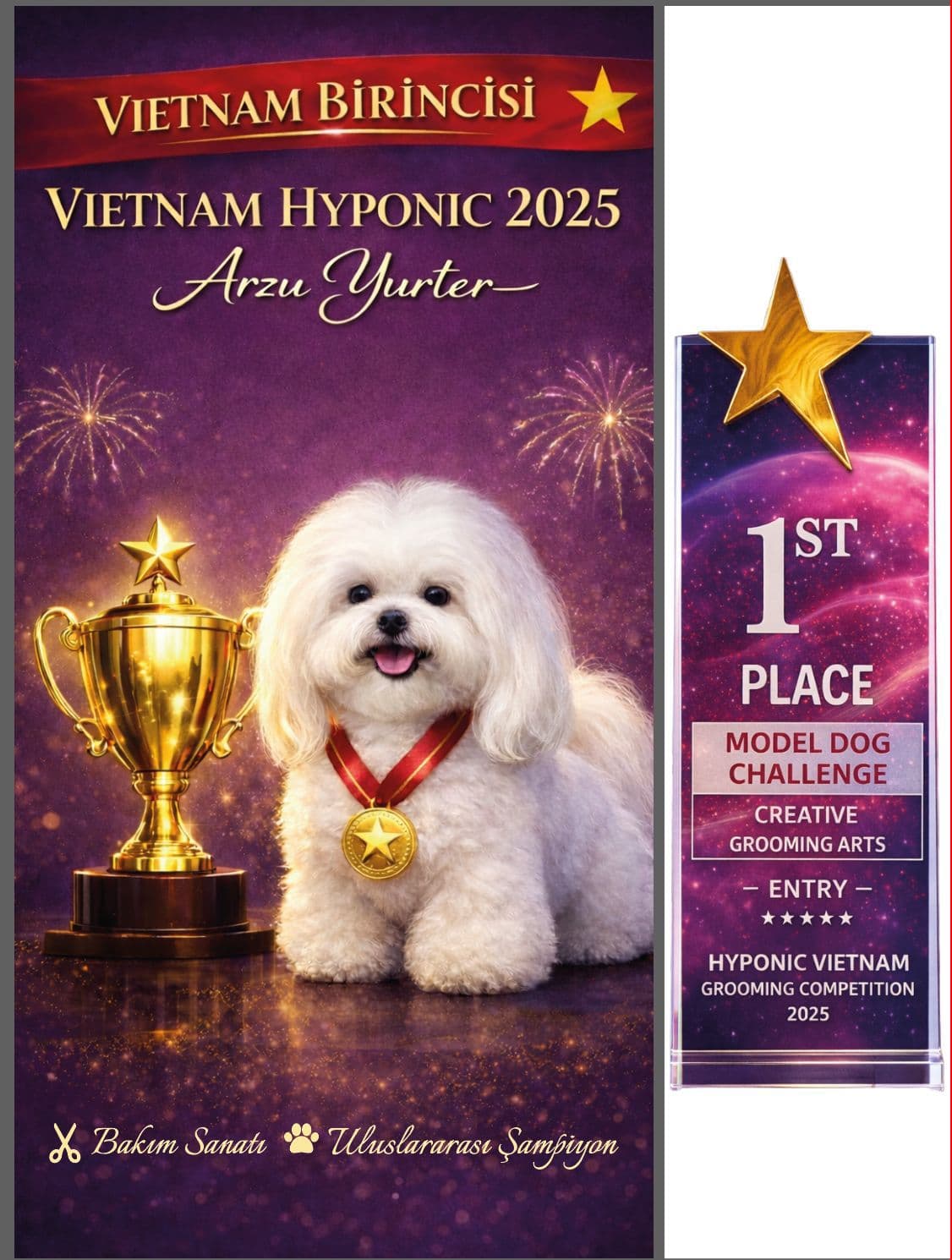 Vietnam Birinciliği